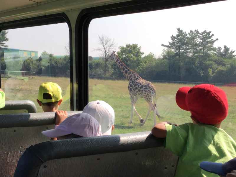 children riding on a African Lion Safari bus tour